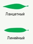 Нажмите на изображение для увеличения.

Название:	лист2.jpg
Просмотров:	0
Размер:	3.6 Кб
ID:	539600