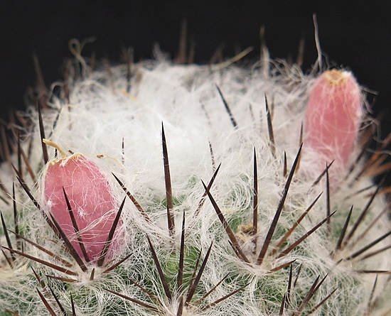 Нажмите на изображение для увеличения.

Название:	IMG_0761.jpg
Просмотров:	109
Размер:	207.7 Кб
ID:	541498