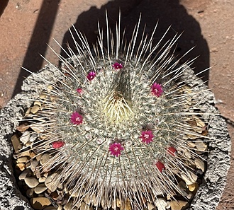 Нажмите на изображение для увеличения.

Название:	photo_2025-10-22_21-32-20.jpg
Просмотров:	91
Размер:	351.7 Кб
ID:	542138