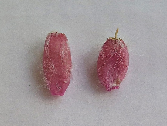 Нажмите на изображение для увеличения.

Название:	IMG_0863.jpg
Просмотров:	68
Размер:	145.0 Кб
ID:	541860