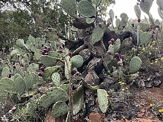 Нажмите на изображение для увеличения.

Название:	2фф.jpg
Просмотров:	51
Размер:	346.0 Кб
ID:	541912