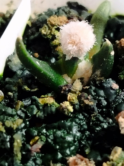 Нажмите на изображение для увеличения.  Название:	1762974290686.jpg Просмотров:	0 Размер:	158.8 Кб ID:	542008