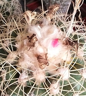 Нажмите на изображение для увеличения.

Название:	IMG_20251116_170704.jpg
Просмотров:	25
Размер:	250.4 Кб
ID:	542047