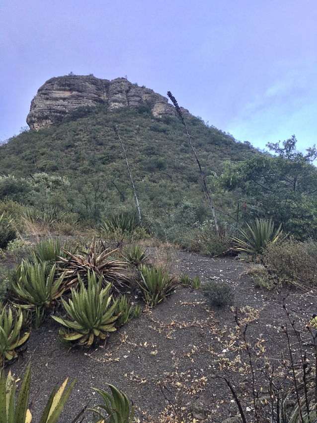 Нажмите на изображение для увеличения.

Название:	IMG_3533.jpg
Просмотров:	81
Размер:	276.3 Кб
ID:	542058