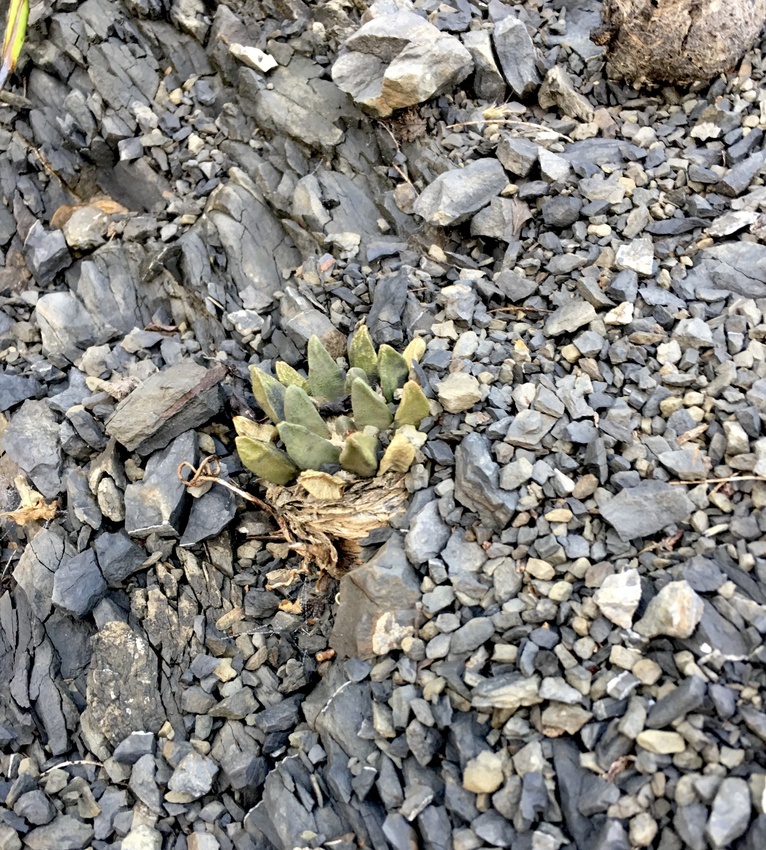 Нажмите на изображение для увеличения.

Название:	IMG_3527.jpg
Просмотров:	80
Размер:	377.9 Кб
ID:	542059