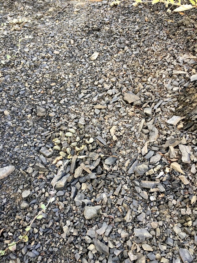 Нажмите на изображение для увеличения.

Название:	IMG_3535.jpg
Просмотров:	81
Размер:	420.3 Кб
ID:	542063