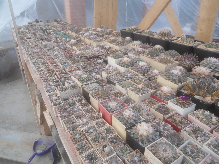 Нажмите на изображение для увеличения.

Название:	DSC02643.jpg
Просмотров:	109
Размер:	262.1 Кб
ID:	542072