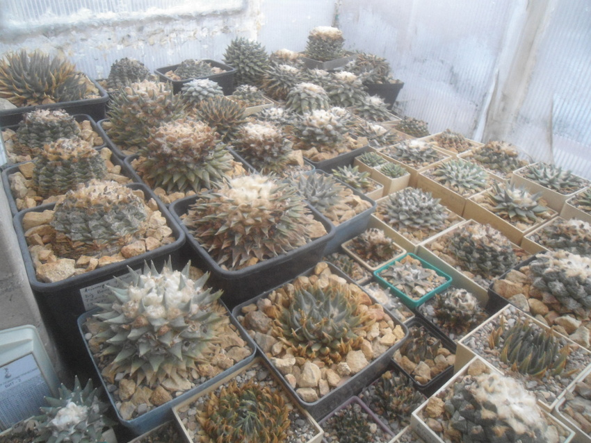 Нажмите на изображение для увеличения.  Название:	DSC02655.jpg Просмотров:	0 Размер:	248.0 Кб ID:	542078