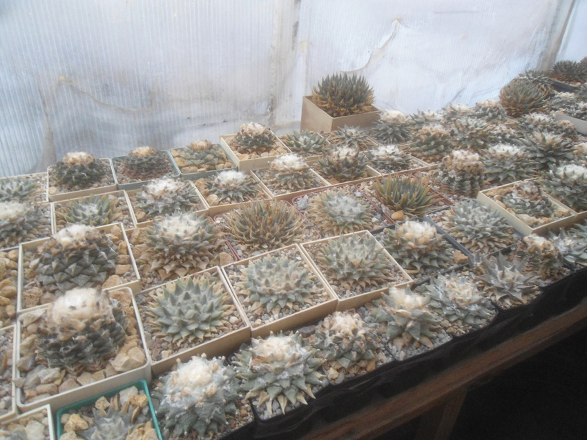 Нажмите на изображение для увеличения.  Название:	DSC02656.jpg Просмотров:	0 Размер:	231.3 Кб ID:	542079