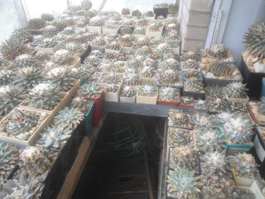 Нажмите на изображение для увеличения.  Название:	DSC02657.jpg Просмотров:	0 Размер:	244.9 Кб ID:	542080