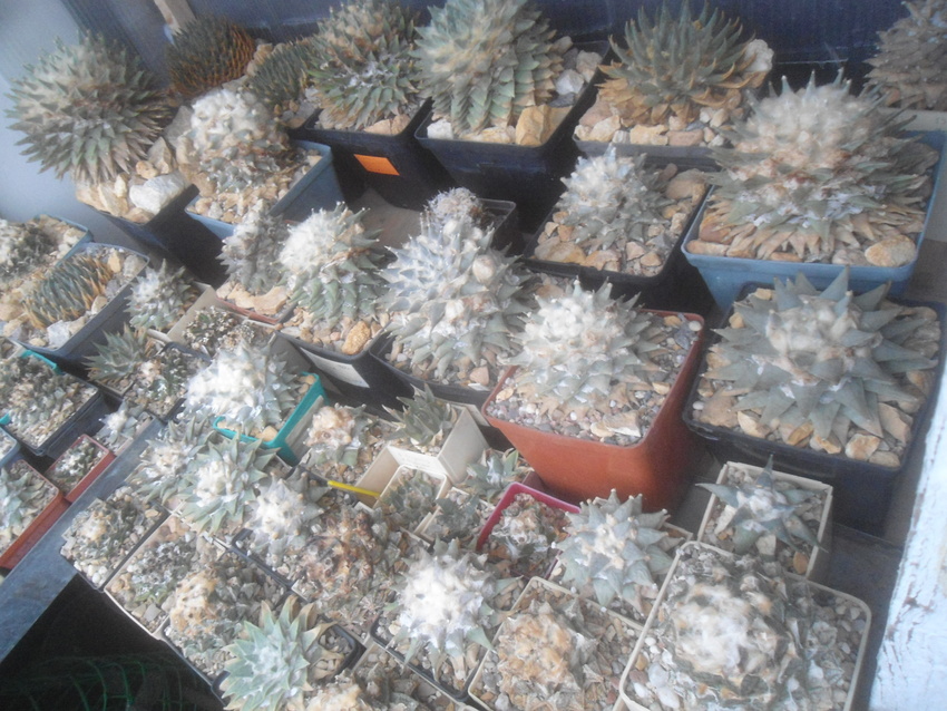 Нажмите на изображение для увеличения.  Название:	DSC02658.jpg Просмотров:	0 Размер:	253.5 Кб ID:	542081