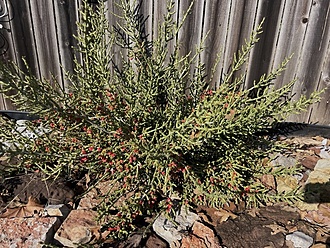 Нажмите на изображение для увеличения.

Название:	photo_2025-11-29_17-29-10.jpg
Просмотров:	120
Размер:	365.5 Кб
ID:	542103