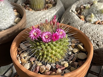 Нажмите на изображение для увеличения.

Название:	photo_2025-12-03_23-08-50.jpg
Просмотров:	93
Размер:	236.9 Кб
ID:	542139