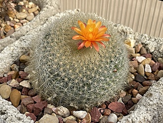 Нажмите на изображение для увеличения.

Название:	photo_2025-12-03_23-08-59.jpg
Просмотров:	92
Размер:	284.5 Кб
ID:	542140