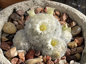 Нажмите на изображение для увеличения.

Название:	photo_2025-12-03_23-09-11.jpg
Просмотров:	91
Размер:	224.7 Кб
ID:	542141