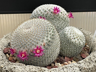 Нажмите на изображение для увеличения.

Название:	photo_2025-12-03_23-32-38.jpg
Просмотров:	93
Размер:	292.9 Кб
ID:	542142