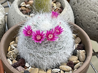 Нажмите на изображение для увеличения.

Название:	photo_2025-12-03_23-34-03.jpg
Просмотров:	97
Размер:	267.3 Кб
ID:	542144