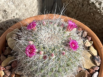 Нажмите на изображение для увеличения.

Название:	photo_2025-12-03_23-09-15.jpg
Просмотров:	95
Размер:	276.8 Кб
ID:	542145