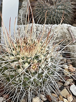 Нажмите на изображение для увеличения.

Название:	photo_2025-12-03_23-09-25.jpg
Просмотров:	98
Размер:	264.8 Кб
ID:	542146