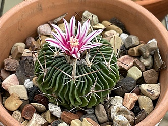 Нажмите на изображение для увеличения.

Название:	photo_2025-12-03_23-32-23.jpg
Просмотров:	97
Размер:	223.9 Кб
ID:	542147