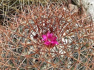 Нажмите на изображение для увеличения.

Название:	photo_2025-12-03_23-09-36.jpg
Просмотров:	95
Размер:	327.3 Кб
ID:	542148