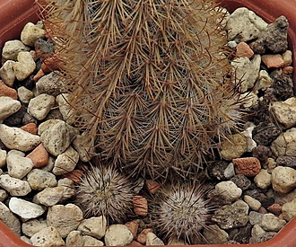 Нажмите на изображение для увеличения.

Название:	IMG_1093.jpg
Просмотров:	33
Размер:	293.5 Кб
ID:	542178