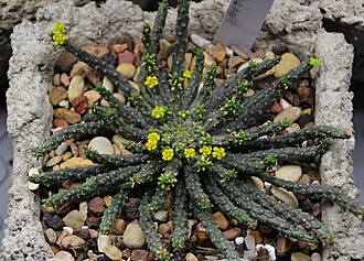 Нажмите на изображение для увеличения.

Название:	IMG_5071.jpg
Просмотров:	76
Размер:	249.3 Кб
ID:	542189