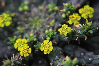 Нажмите на изображение для увеличения.

Название:	IMG_5076.jpg
Просмотров:	76
Размер:	116.8 Кб
ID:	542190