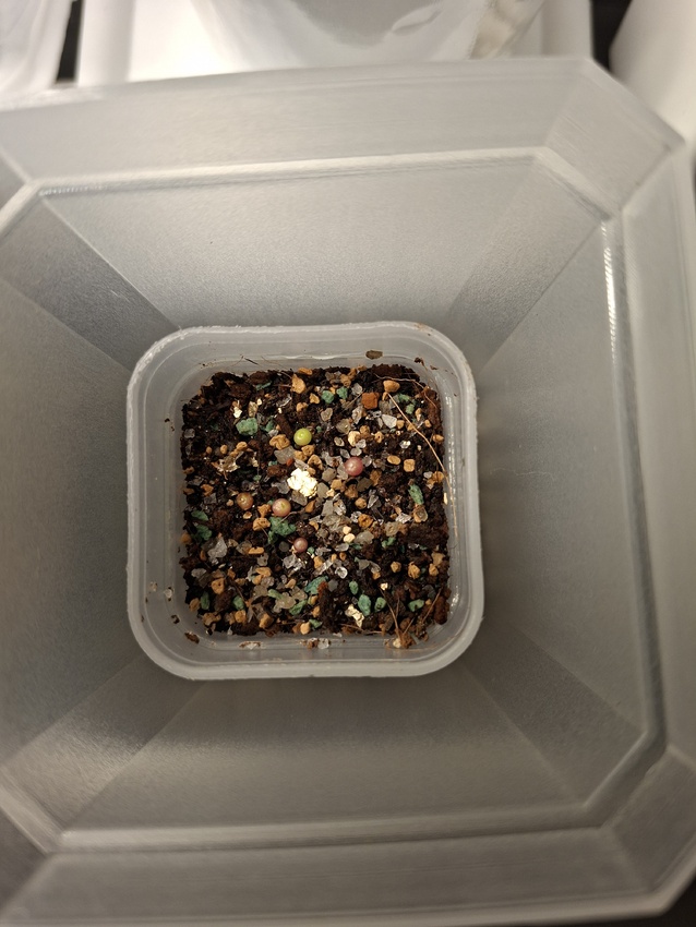 Нажмите на изображение для увеличения.

Название:	20251209_203703.jpg
Просмотров:	46
Размер:	151.3 Кб
ID:	542196