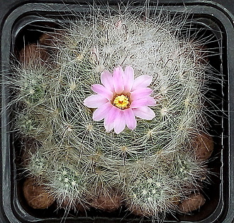 Нажмите на изображение для увеличения.

Название:	1.jpg
Просмотров:	39
Размер:	453.4 Кб
ID:	542204