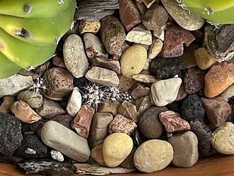 Нажмите на изображение для увеличения.

Название:	2f.jpg
Просмотров:	104
Размер:	239.8 Кб
ID:	542225