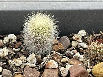 Нажмите на изображение для увеличения.

Название:	3.jpg
Просмотров:	108
Размер:	231.2 Кб
ID:	542226