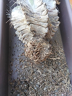 Нажмите на изображение для увеличения.

Название:	IMG_20230707_132110.jpg
Просмотров:	46
Размер:	257.1 Кб
ID:	542243