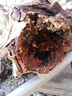 Нажмите на изображение для увеличения.

Название:	IMG_20230707_132924.jpg
Просмотров:	46
Размер:	208.8 Кб
ID:	542246