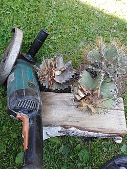 Нажмите на изображение для увеличения.

Название:	IMG_20230707_140453.jpg
Просмотров:	48
Размер:	295.8 Кб
ID:	542248