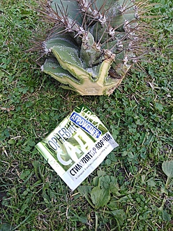 Нажмите на изображение для увеличения.

Название:	IMG_20230707_143329.jpg
Просмотров:	54
Размер:	358.5 Кб
ID:	542254