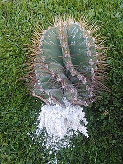 Нажмите на изображение для увеличения.

Название:	IMG_20240714_100815.jpg
Просмотров:	54
Размер:	328.1 Кб
ID:	542257