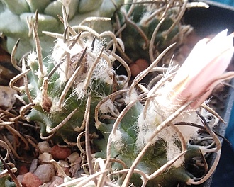 Нажмите на изображение для увеличения.

Название:	IMG_20251230_142811.jpg
Просмотров:	73
Размер:	225.8 Кб
ID:	542335