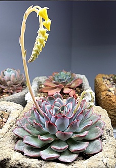 Нажмите на изображение для увеличения.  Название:	2.jpg Просмотров:	0 Размер:	158.7 Кб ID:	542424