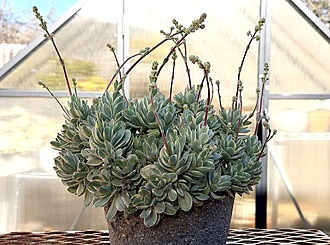 Нажмите на изображение для увеличения.

Название:	photo_2026-01-11_13-01-54.jpg
Просмотров:	3
Размер:	233.3 Кб
ID:	542425