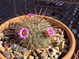 Нажмите на изображение для увеличения.

Название:	photo_2026-01-11_12-59-20.jpg
Просмотров:	136
Размер:	265.4 Кб
ID:	542428