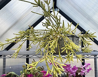 Нажмите на изображение для увеличения.

Название:	4.jpg
Просмотров:	136
Размер:	353.6 Кб
ID:	542429