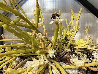 Нажмите на изображение для увеличения.

Название:	5.jpg
Просмотров:	134
Размер:	265.3 Кб
ID:	542430