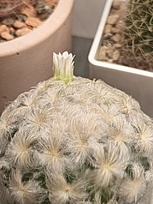 Нажмите на изображение для увеличения.

Название:	plumoza.jpg
Просмотров:	108
Размер:	185.3 Кб
ID:	542468