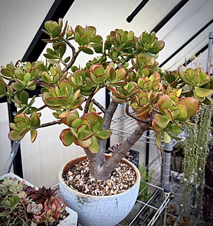 Нажмите на изображение для увеличения.

Название:	photo_2026-01-17_21-24-37.jpg
Просмотров:	198
Размер:	286.1 Кб
ID:	542501