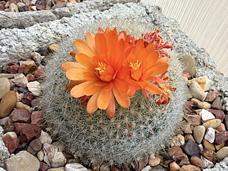 Нажмите на изображение для увеличения.

Название:	photo_2026-01-23_00-44-11.jpg
Просмотров:	146
Размер:	240.9 Кб
ID:	542544