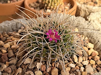 Нажмите на изображение для увеличения.

Название:	photo_2026-01-26_13-23-50.jpg
Просмотров:	10
Размер:	244.2 Кб
ID:	542554