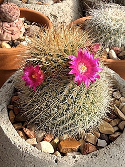 Нажмите на изображение для увеличения.

Название:	photo_2026-01-26_13-24-14.jpg
Просмотров:	10
Размер:	322.7 Кб
ID:	542556