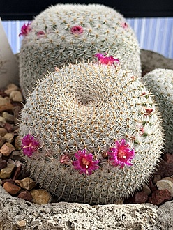 Нажмите на изображение для увеличения.

Название:	photo_2026-01-26_13-24-10.jpg
Просмотров:	10
Размер:	297.5 Кб
ID:	542557