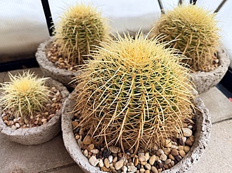 Нажмите на изображение для увеличения.

Название:	photo_2026-01-27_11-00-07.jpg
Просмотров:	148
Размер:	228.3 Кб
ID:	542564